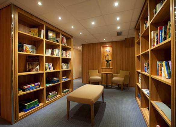 Viking Russia Library.jpg